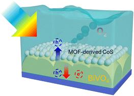 Metal–organic framework-derived nano-CoS-enhanced photoelectrochemical water splitting performance of the BiVO4 photoanode†