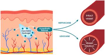 Vascular benefit of the use of mepivacaine as an anaesthetic in resilient hyaluronic acid® injectables