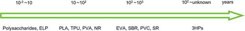 Biodegradable Elastomers: Where Is the Solution?