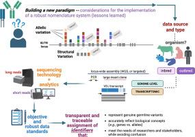 Challenges for the immunoglobulin and T cell receptor gene nomenclatures in the modern genomics era