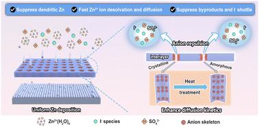 Amorphous anion skeletons induce rapid and cation-selective ion flux towards stable aqueous zinc–iodine batteries†