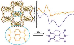 Photoswitching chiroptical response in camphorate-based chiral metal–organic frameworks†