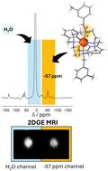 Macrocyclic transition-metal parashift complexes for MRI at clinical and pre-clinical magnetic fields†