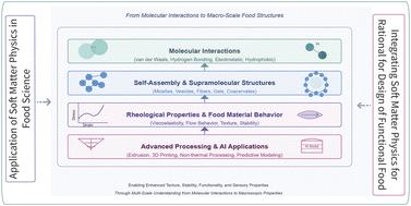 Applications of soft matter physics in food science: from molecular interactions to macro-scale food structures