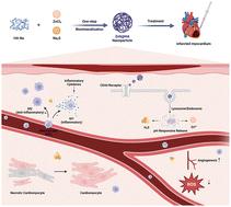 Alleviation of myocardial infarction by hydrogen sulfide-releasing nanoparticles: mechanisms and therapeutic effects†