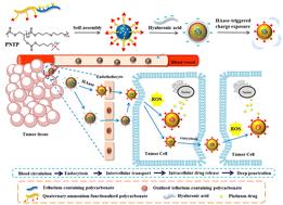 pH-Independent charge-reversal strategy for enhanced tumor penetration based on hyaluronidase-responsive tellurium-containing polycarbonate nanocarriers†