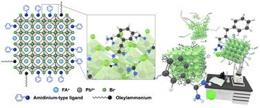 Tailored ligand design enabling comprehensive passivation of perovskite nanocrystals for light-emitting diodes†