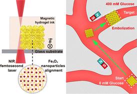 Glucose-responsive magnetic microrobots: 4D printing and targeted embolization application†