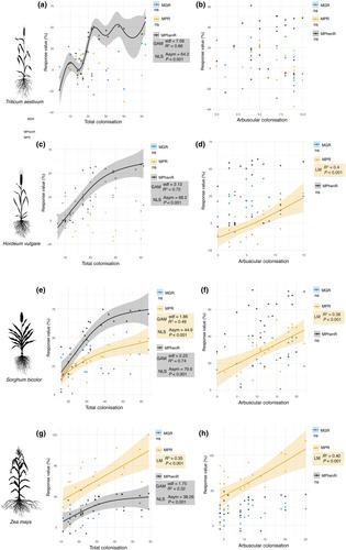 What does colonisation tell us? Revisiting the functional outcomes of root colonisation by arbuscular mycorrhizal fungi