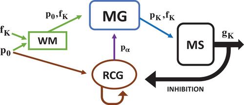Memory Gate Controlled by Contexts: Potential Key Structure That Could Link Small Associative Failures With Severe Cognitive Disorders