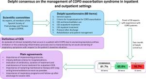 Delphi Consensus on the Management of COPD Exacerbation Syndrome in Inpatient and Outpatient Settings