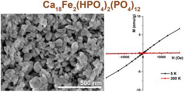 Wet-chemical approach to the synthesis of iron whitlockite (Ca18Fe2(HPO4)2(PO4)12) via a dissolution–precipitation process under hydrothermal conditions†