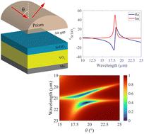 Dynamically tunable strong coupling via insulator–metal phase transition in VO2 coupled to mid-infrared SrTiO3 phonons