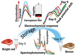 Electroanalysis of meat discoloration: beef sarcoplasm extract with storage time