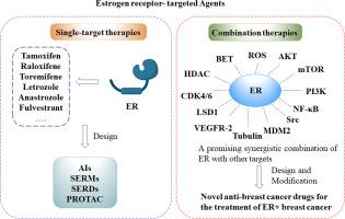 Advances in combination therapy for the treatment of estrogen receptor positive breast cancer