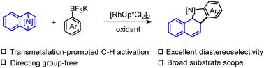 Rhodium(iii)-catalyzed oxidative [3+2] annulation of arylboron reagents and 7-azabenzonorbornadienes via transmetalation-initiated C–H activation†