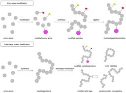 Recent developments in late-stage protein modification