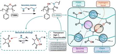 Poly(styrene-co-maleamic acid)-based monoamide covalent adaptable networks†