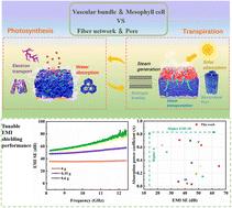 Leaf-inspired nanofibrous mat-based composites for liquid–gas phase change-driven dynamically adaptive electromagnetic interference shielding†