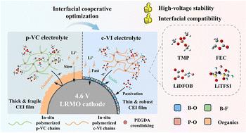 Dual-component modulation strategy for enhancing interfacial compatibility in 4.6 V LRMO-based solid-state lithium metal batteries†