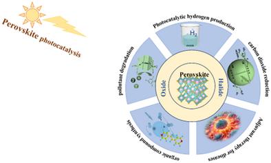 Perspectives of Soft Lattice Halide Perovskite Photocatalysts, Mechanisms and Applications
