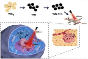PEGylated W4.6N4/WO3 nanoparticles as a near-infrared photothermal agent for effective cancer therapy†