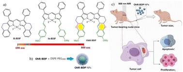 Embedding oxygen heterocycles into BODIPY to enhance intersystem crossing for photodynamic therapy†