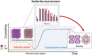 Influence of alkali metal cations on the local structure of amorphous precursors during zeolite crystallization†