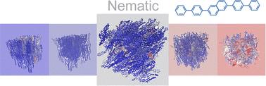 Insights into the nanostructuring and phase behaviour of an all-aromatic prototypical nematic liquid crystal†
