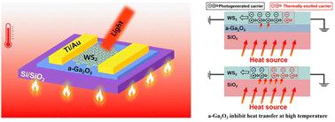Devising an advanced WS2/a-Ga2O3 photodetector for high-temperature operation†