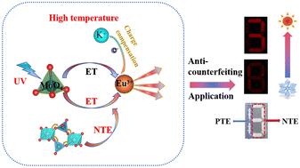 Tuning luminescence thermal quenching performance of KxMgxSc1.95−xMo3O12:5%Eu3+ phosphor via synergistic negative thermal expansion and charge compensation effects†