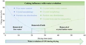 Revealing the relationship between the anti-caking function of wet hydrate crystals and water migration: a case study of glucose monohydrate†