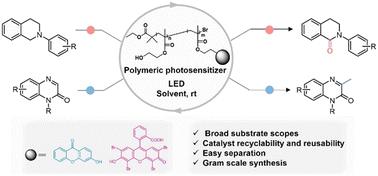 Dye molecule-containing polymeric photosensitizer as a high-performance photocatalyst for aerobic chemical conversion†