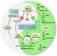 Modified indophenol blue method enables reliable routine quantification of photocatalytically produced ammonia in aqueous sulfite electrolyte†