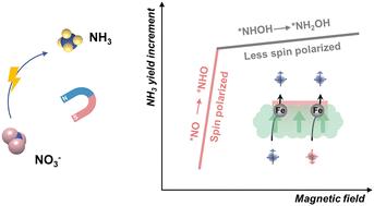 Non-linear spin correlation of intermediates in enhanced electrochemical nitrate reduction under magnetic fields†