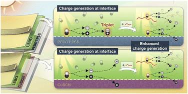Elucidating the role of heterojunction in pristine non-fullerene acceptor organic solar cells†