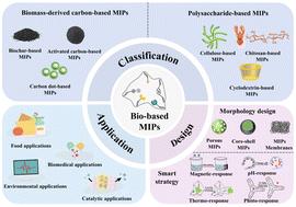 Advances in biomass-based molecularly imprinted polymers: from sustainable design to diverse applications