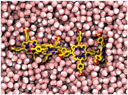 Origins of curvature in meso-tetra(4-sulfonatophenyl) porphine aggregation: molecular dynamics and electronic spectroscopy†