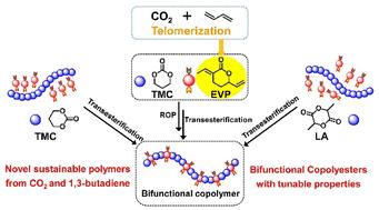 Chemoselective ring-opening copolymerization of δ-lactone derived from CO2 and butadiene via transesterification to synthesize bifunctional copolyesters†