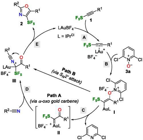 Gold-Catalyzed Synthesis of Substituted 4-Pentafluorosulfanyl-1,3-Oxazoles