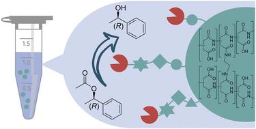 Functionalized poly(aspartic acid) hydrogel particles as carriers for covalent enzyme immobilization†