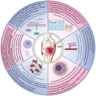 Recent advances in platelet-rich plasma therapy for osteoarthritis: mechanisms and clinical efficacy