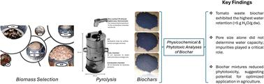 Comprehensive assessment of phytotoxic effects, morphology, chemical compositions, and water retention capacities of biochars
