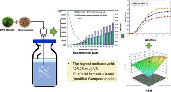 Sustainable biogas production through anaerobic co-digestion of Ulva lactuca (Chlorophyta) and cow manure: a kinetic and process optimization study
