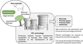 Reducing fossil fuel demand by using biofuels as an alternative hydrothermal liquefaction is a promising process for transforming biomass into drop-in fuels†