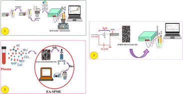 Concurrent analysis of six NSAIDs in human plasma using polyurethane/B–N–S-co-doped rGO nanofiber-modified glassy carbon electrode followed by EA-SPME†