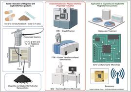 Facile fabrication of magnetite (Fe3O4) nanoparticles by hydrothermal carbonization of waste iron supplements†