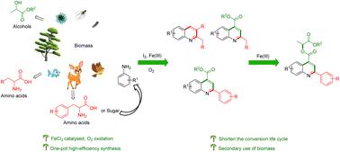 One-pot iron chloride-catalyzed sustainable syntheses of quinolines from amino acids, alkyl lactate and arylamine†