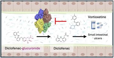 Emerging gut microbial glycoside hydrolase inhibitors