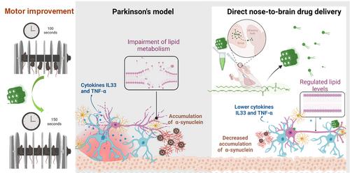 Plasmalogen as a Bioactive Lipid Drug: From Preclinical Research Challenges to Opportunities in Nanomedicine